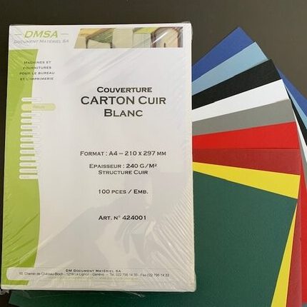Carton Cuir 240g/m2 A4